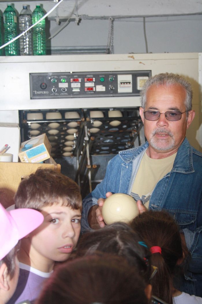 un operatore fa vedere ai bambini un uovo di struzzo 