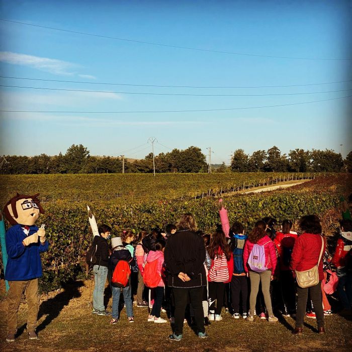 bambini intenti ad attivitò di laboratorio nella campagna 