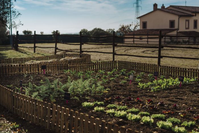 orto di verdure 
