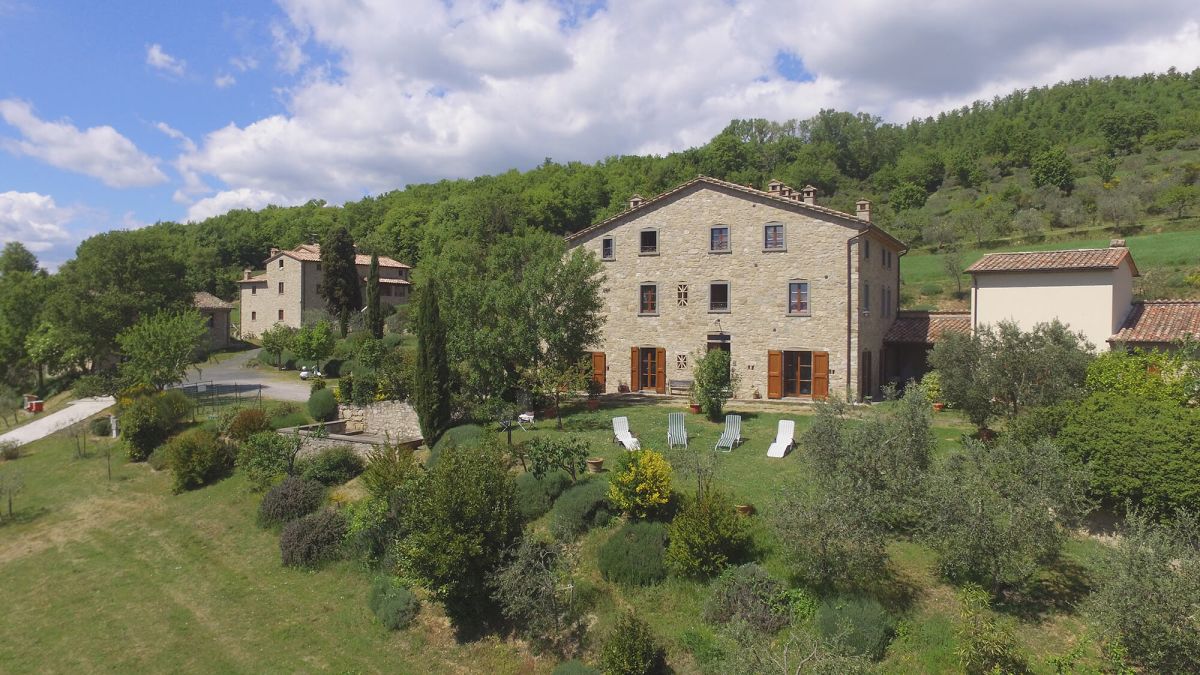 Panorama di una tranquilla tenuta agricola circondata da prati verdi, con semplici edifici rustici e giardini ben curati.
