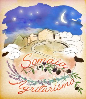 Ein Bauernhaus umgeben von Olivenbäumen und Lavendel, perfekt zum Entspannen und Eintauchen in die lokale Kultur.