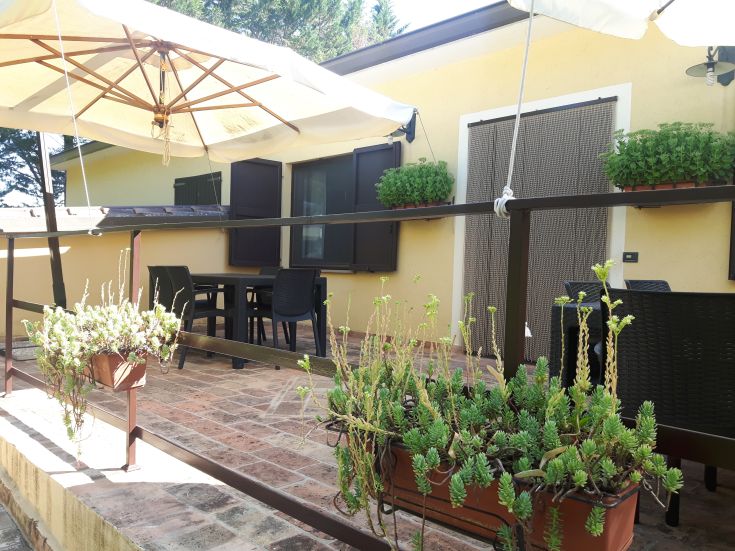 Terrasse accueillante avec des plantes et un parasol, parfaite pour des moments de détente en plein air.