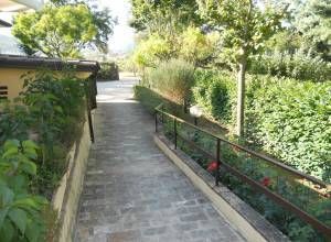 Un chemin serein entouré de verdure luxuriante et de buissons.