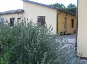 Une image sereine d'un bâtiment avec des plantes de lavande au premier plan.