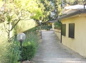 Une allée menant à une maison entourée de verdure, avec un lampadaire le long du chemin.