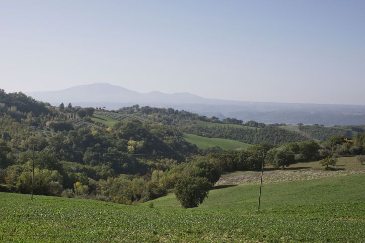Scena di colline umbre, caratterizzate da dolci pendii verdi e un cielo limpido.