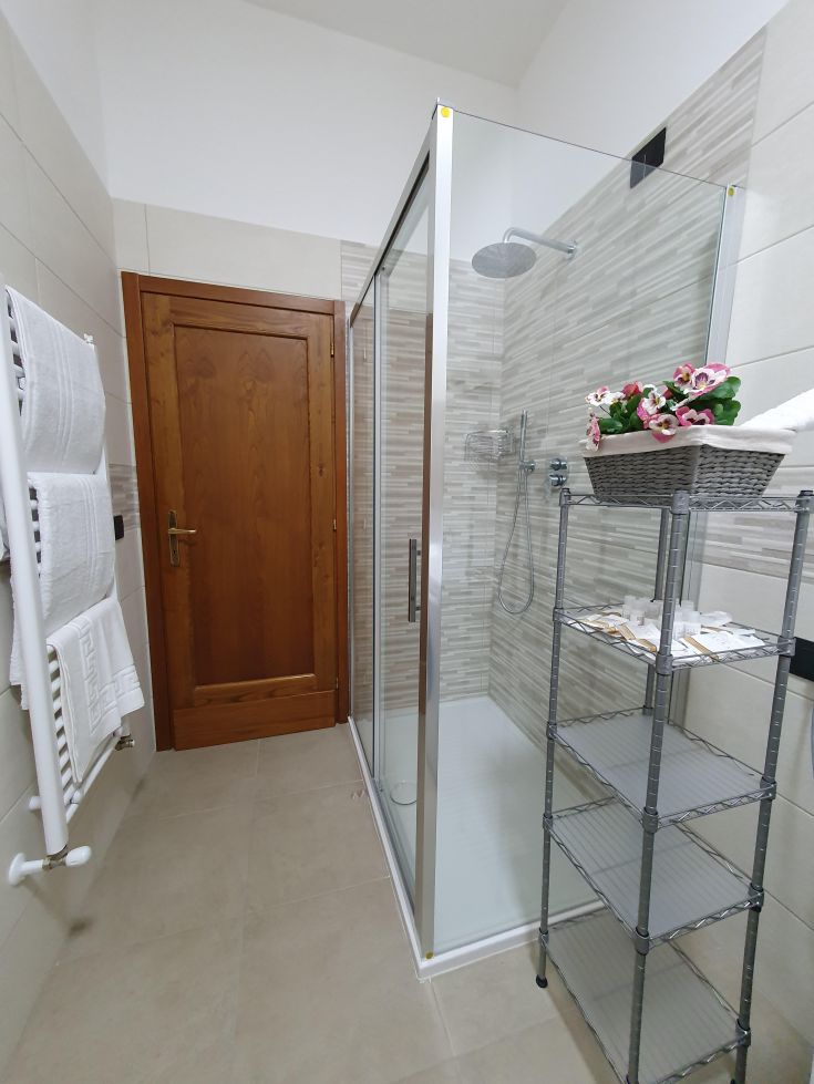 Functional and sober bathroom with shower, decorated with plants and white towels.