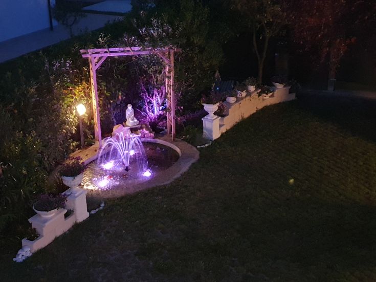 A garden with a lit fountain and green plants, perfect for a peaceful evening.