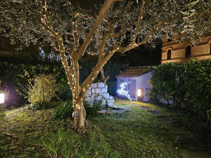 A garden with a decorated and illuminated Christmas tree, creating a calm evening atmosphere.