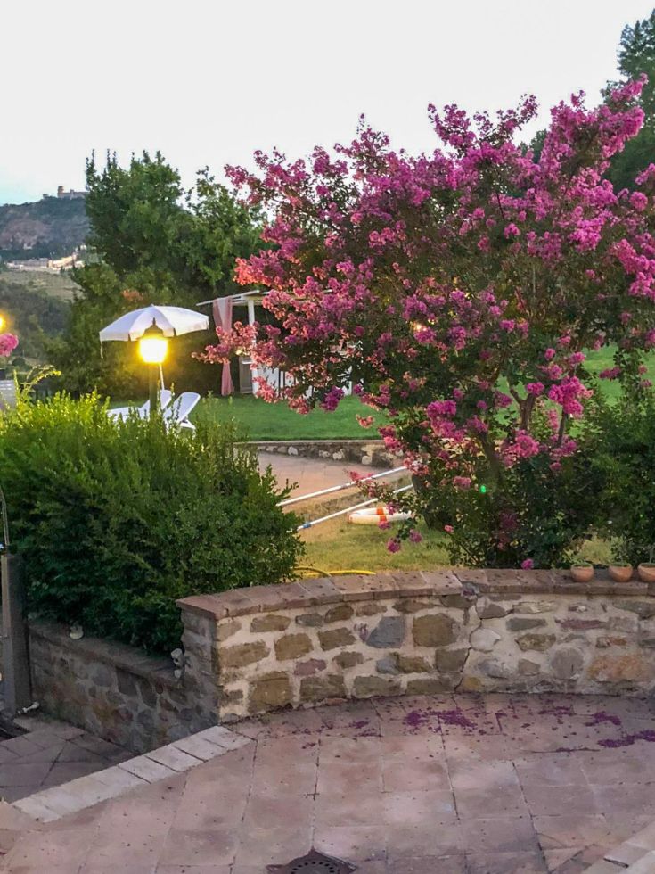 Un ambiente sereno con alberi in fiore e panorama sulla campagna circostante, perfetto per il relax.