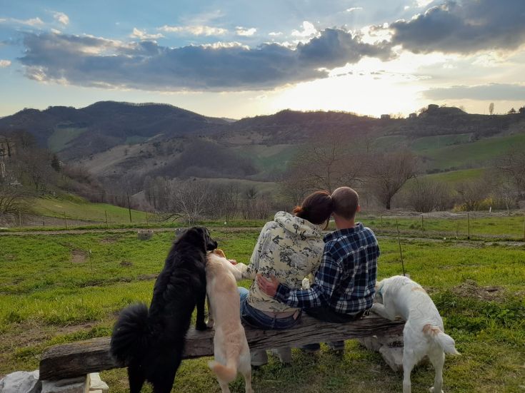 Ein friedlicher Sonnenuntergang über einem Bauernhof, umgeben von Grün, mit einem Himmel in warmen Farben.