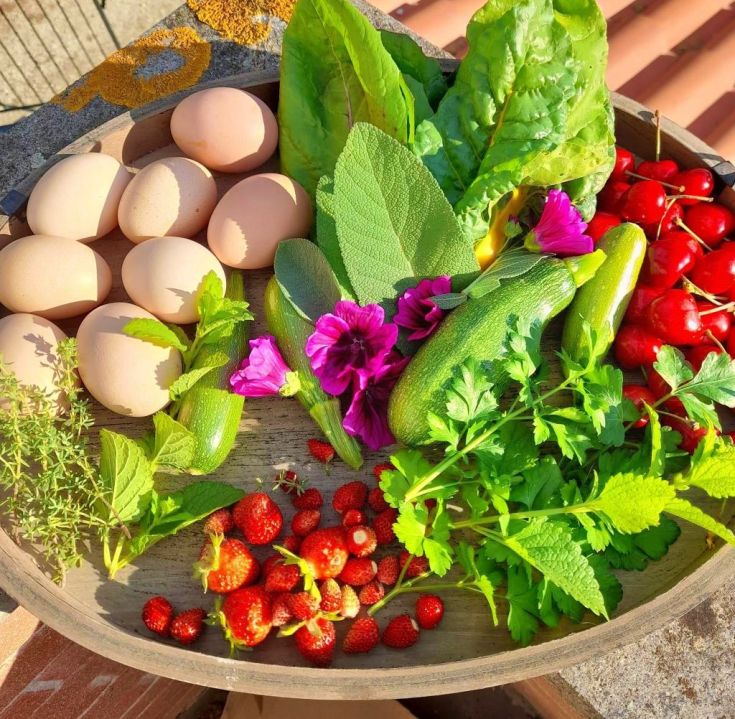 Eine Sammlung frischer Gartenprodukte: Eier, Saisongemüse, Kräuter und reife Erdbeeren.