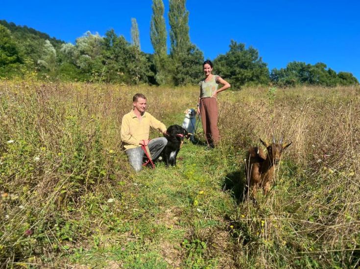 Zwei Personen befinden sich in einem grünen Bereich, umgeben von Hunden und Ziegen, in einer entspannten Atmosphäre.