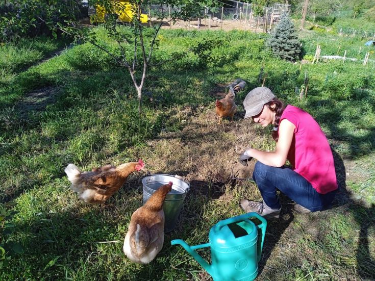 Eine Frau kümmert sich um den Garten, während Hühner frei herumlaufen.