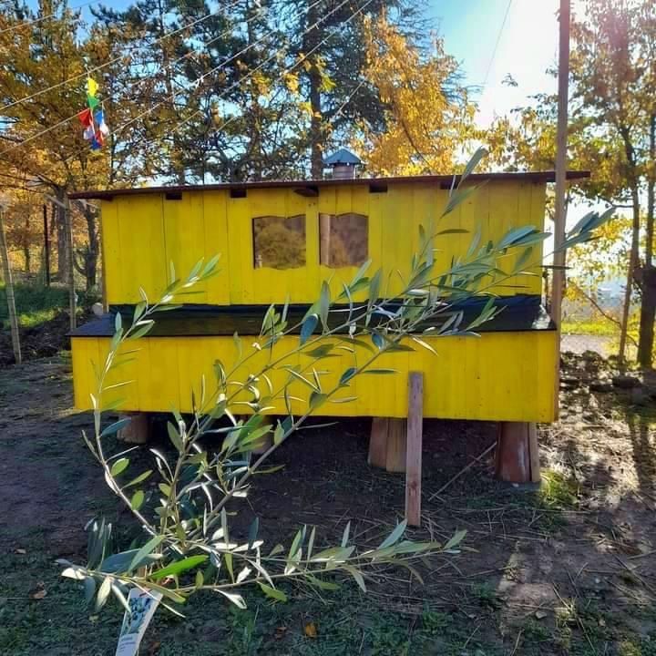 Ein gelbes Gebäude, umgeben von Bäumen mit herbstlichen Blättern, gelegen zwischen den umbrischen Hügeln.