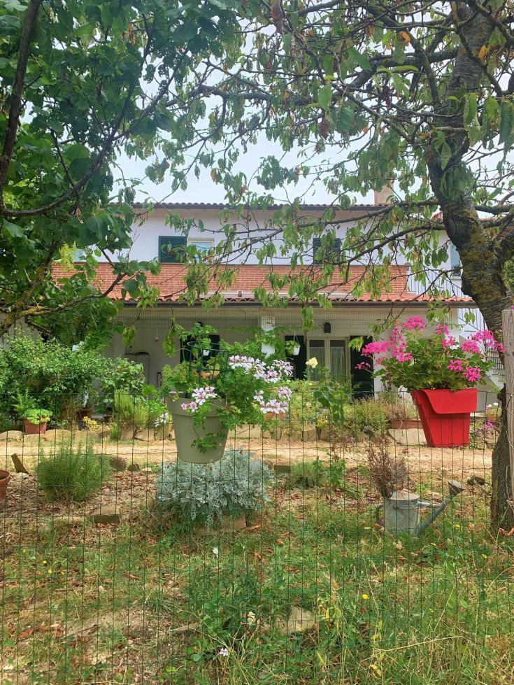 Ein Haus, umgeben von einem vielfältigen Garten mit üppigen Blumen und Pflanzen, schafft eine friedliche Atmosphäre.