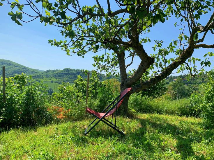 Ein Stuhl steht unter einem Baum, umgeben von Hügeln und einem klaren Himmel.