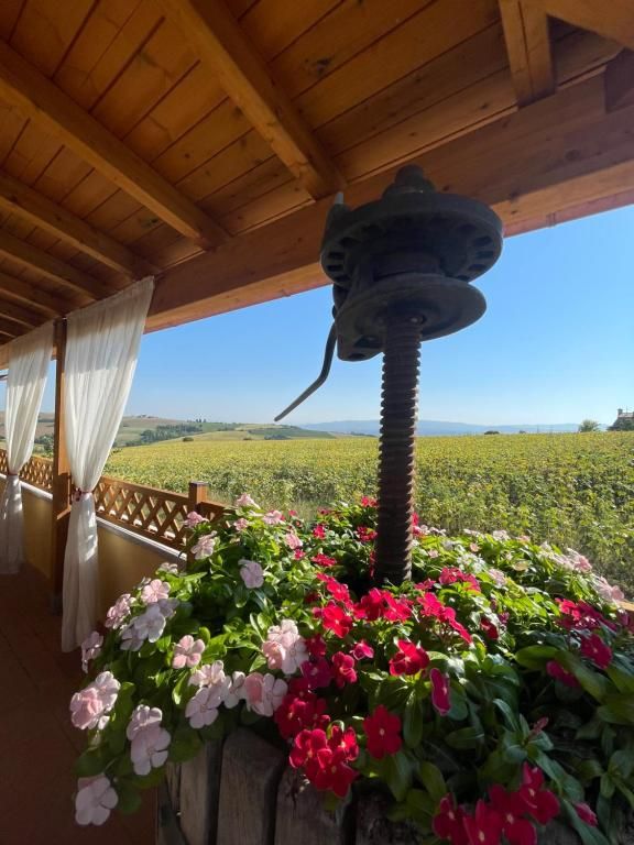 Scena di un campo con fiori colorati, tipica di un agriturismo in Umbria.