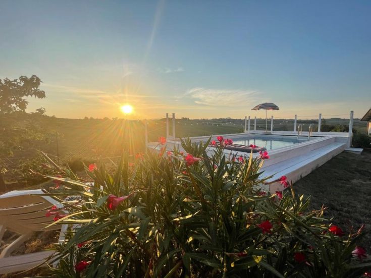 Un tramonto sereno si riflette su una piscina circondata da piante e fiori variopinti, in un ambiente naturale.