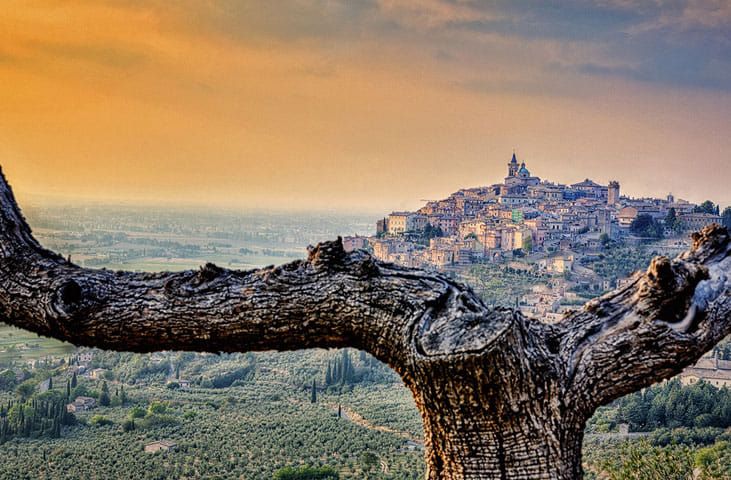 Scène d'un village médiéval au coucher du soleil, avec une branche au premier plan.