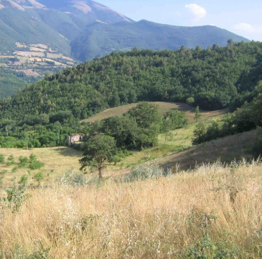 Scena collinare con un casolare circondato dalla vegetazione, tipico dell'Umbria.