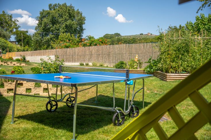 Une table de ping-pong en extérieur entourée de verdure, parfaite pour se détendre.