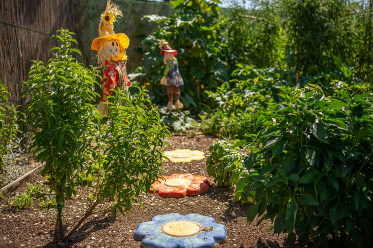 Jardin bien entretenu avec des plantes vertes, des décorations et des fleurs colorées en pierre.