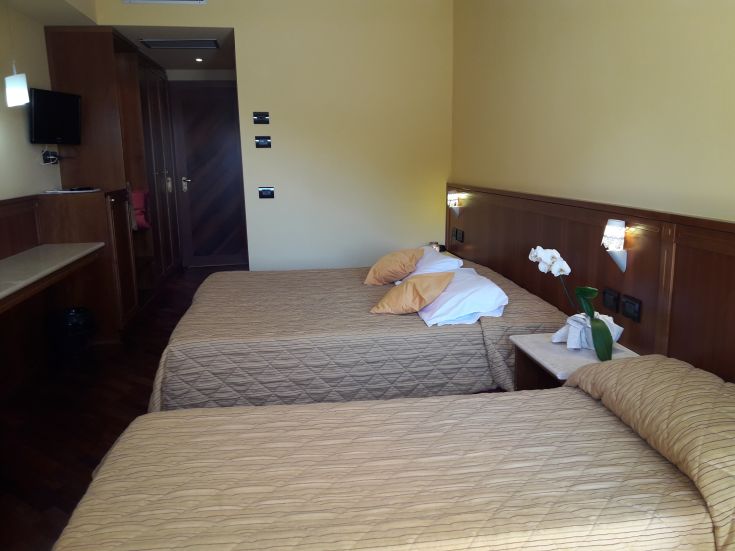 Cozy room with two beds, decorated with warm tones and decorative plants.