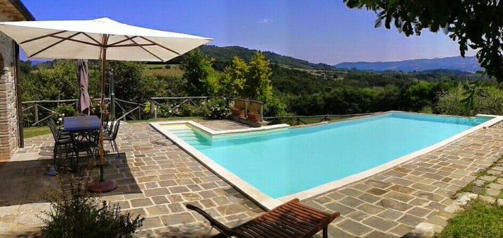 Ein Pool in einer grünen Umgebung, umgeben von einer entspannten und gut gepflegten Terrasse.