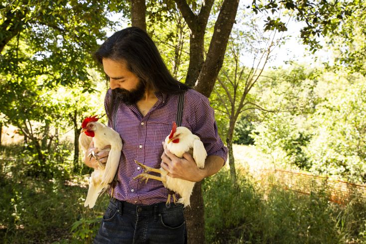 Un contadino in un campo tiene in braccio due galli, immerso nella vegetazione circostante. I colori vividi trasmettono tranquillità.