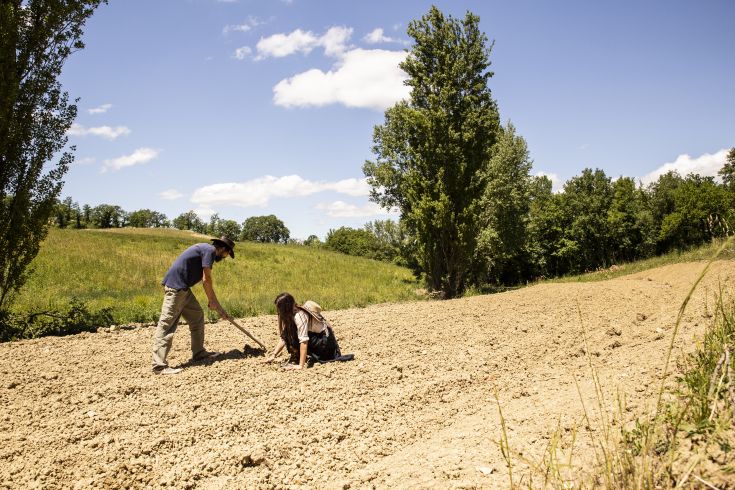 Scopri la vita di campagna attraverso attività quotidiane in un ambiente rurale tranquillo.