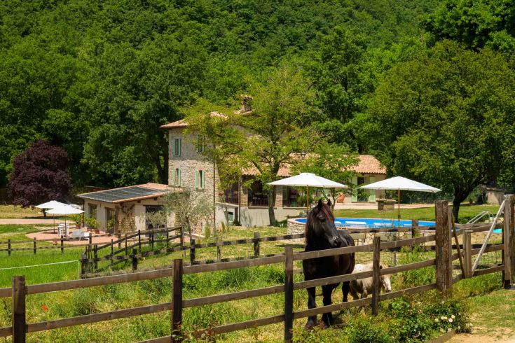 A countryside agriturismo surrounded by trees and meadows, ideal for a peaceful break in nature.