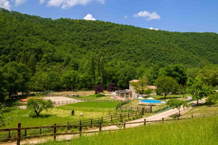 A countryside agriturismo surrounded by greenery, featuring a pool and a pony in its area.
