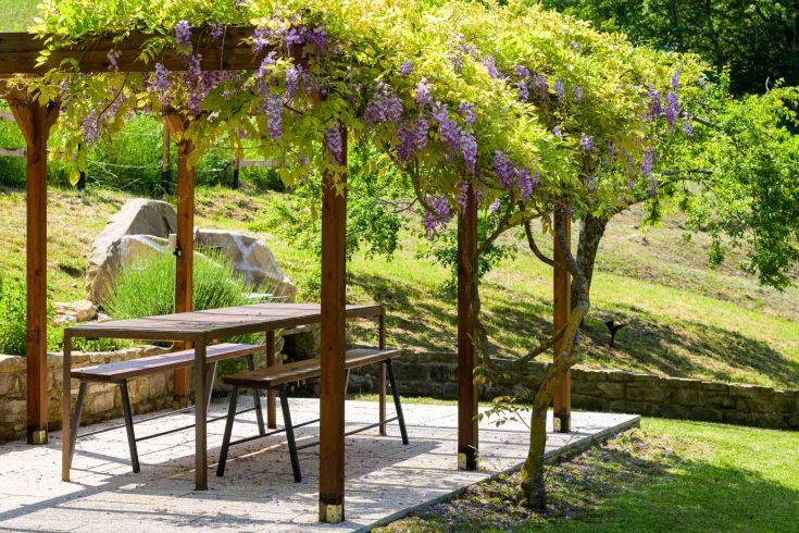 A flowering pergola with wisteria, perfect for outdoor relaxation moments.