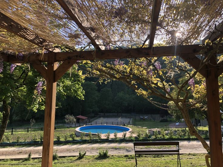 View of a tranquil agriturismo featuring a pool, surrounded by lush greenery, perfect for relaxing moments.