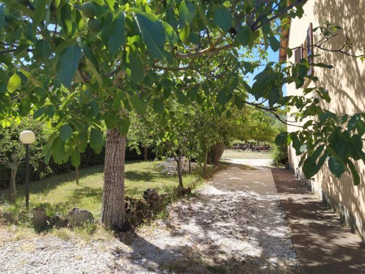 A garden path surrounded by trees, creating a serene and natural atmosphere.