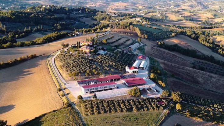 Ferme dans la campagne ombrienne, avec piscine et hébergements modernes tout en respectant la tradition.