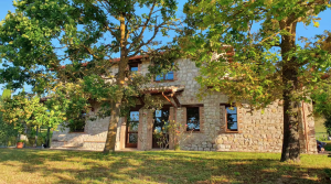 Stone farmhouse surrounded by a large garden with a pool. A serene place perfect for relaxation.