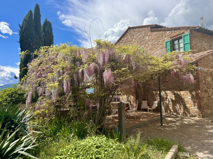 Scene of an agriturismo surrounded by greenery, with blooming wisteria under a clear sky.