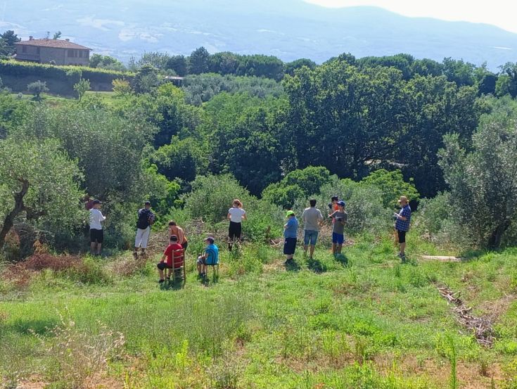 A group of people is in a natural setting, surrounded by olive trees and characterized by green hills.