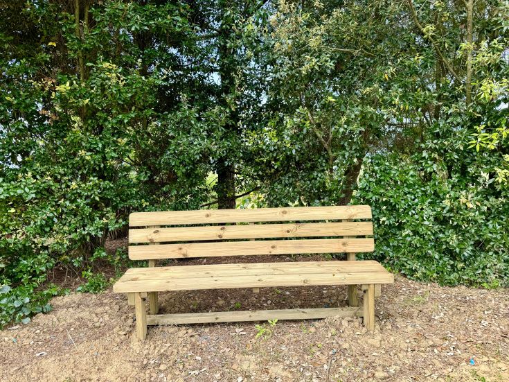 A wooden bench surrounded by greenery, ideal for a peaceful break in nature.