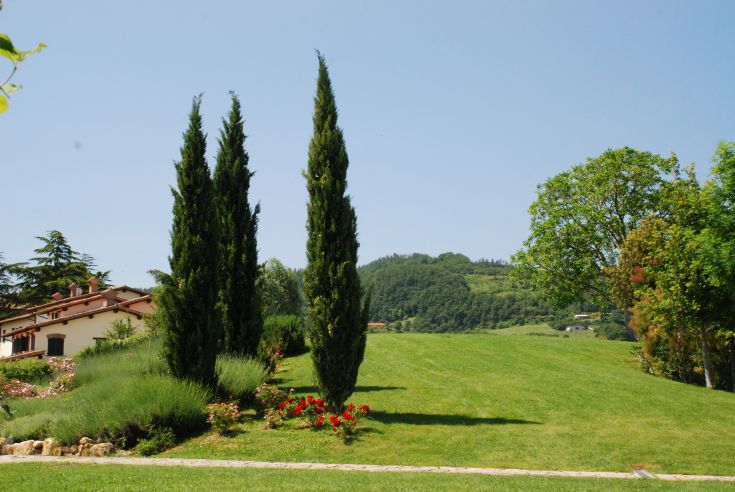 A relaxing place surrounded by meadows and trees, perfect for a quiet break in nature's embrace.