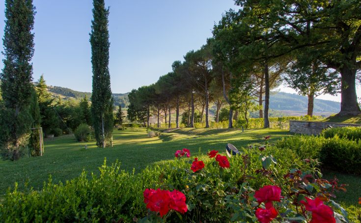 A peaceful garden with red roses and trees, perfect for a nature break.