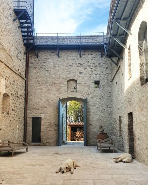 Une cour paisible avec deux chiens se reposant, entourée de murs en pierre et baignée de lumière naturelle.