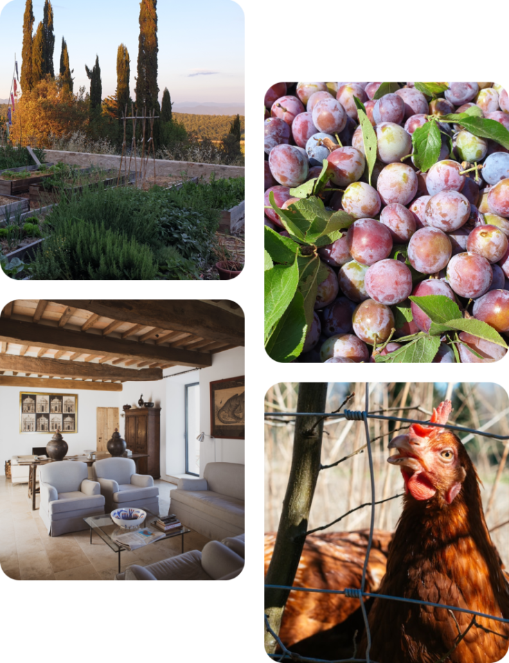 Un agriturisme niché dans la paisible campagne ombrienne propose des chambres spacieuses et une ambiance détendue.
