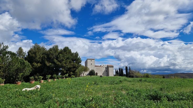 Un paysage paisible avec une tour historique et un chien explorant la verdure environnante. Le ciel est bleu avec des nuages.