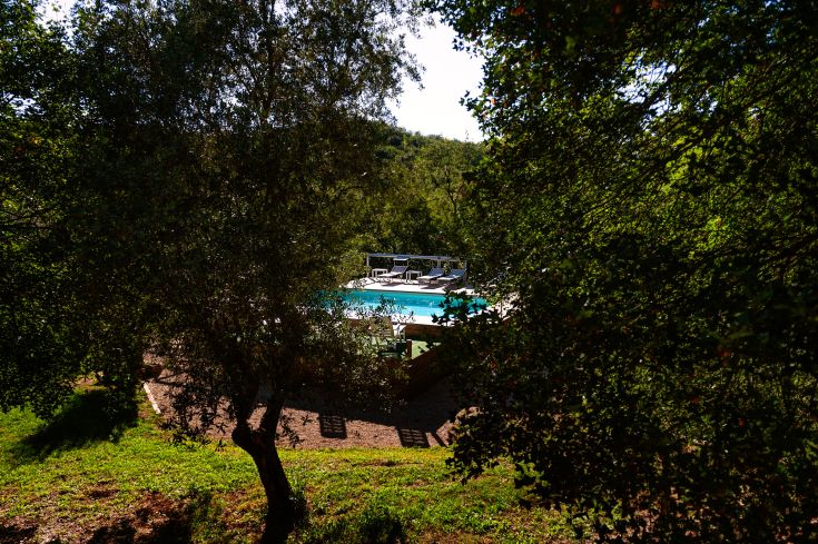 Ein ruhiger Bereich mit einem Pool, umgeben von Bäumen und üppigem Grün.