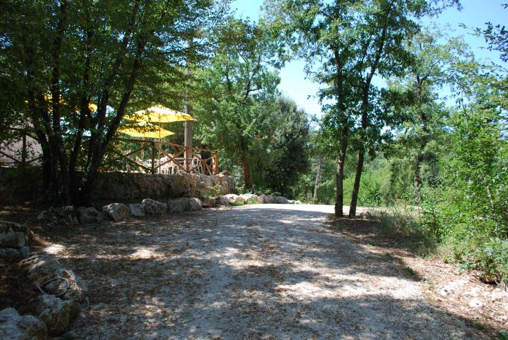Eine Straße, umgeben von Bäumen, mit gelben Sonnenschirmen, die Schatten spenden.