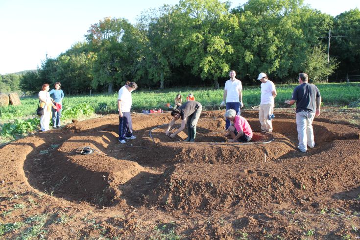 Eine Gruppe von Menschen, die an einem landwirtschaftlichen Projekt im Wald arbeitet und zusammenarbeitet, um Anbautechniken zu innovieren.