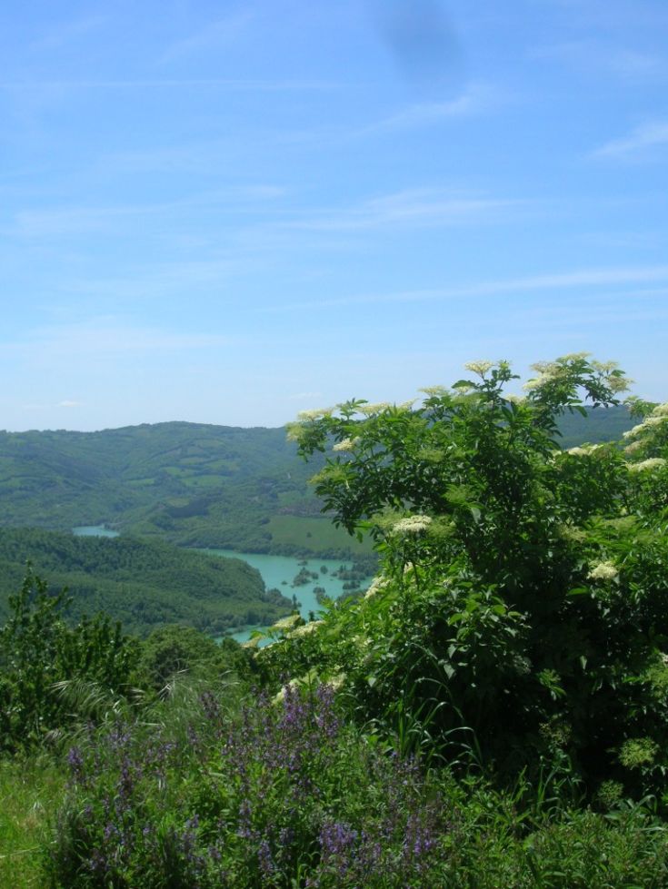 Panorama collinare con vegetazione verde e laghetti, circondato dalla natura.